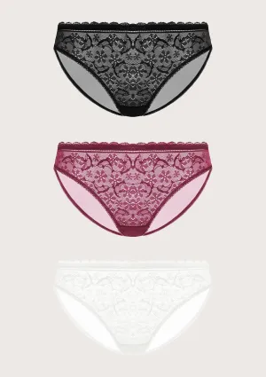 Anemone Lace Dolphin Panties 3 Pack