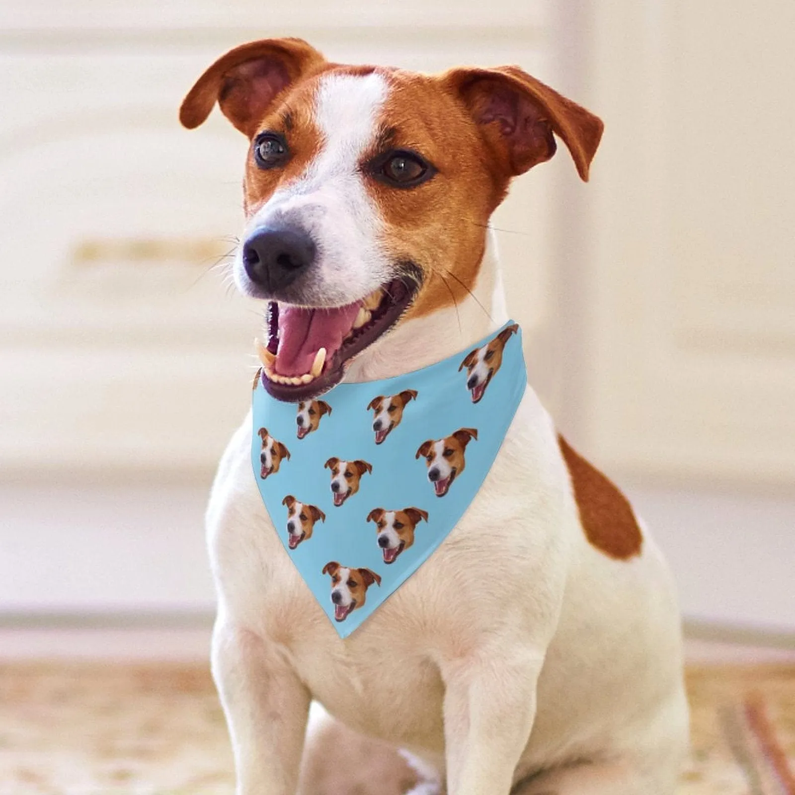 Custom Face Long Pajama Pants and Pet Dog Bandana