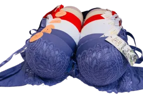 Ladies fancy bra Imported Bra in Pakistan branded bras Fancy Bra for Ladies online bra shopping