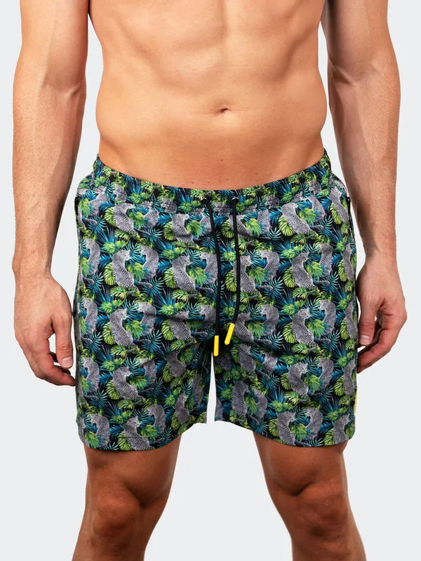 Maceoo Swim | Swim Lion Tiger Green