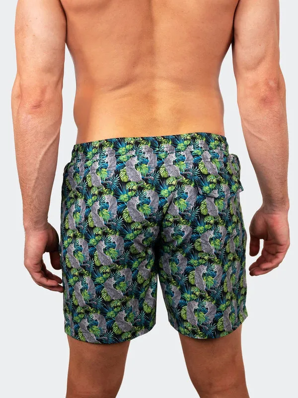 Maceoo Swim | Swim Lion Tiger Green