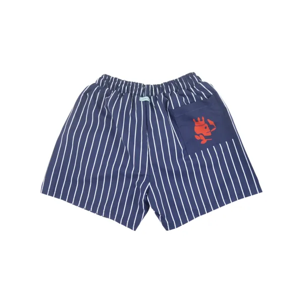 Stripe Swim Trunks | Navy